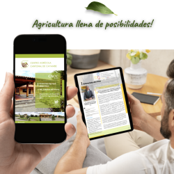 Captura de pantalla 2025-11-30 a la(s) 1.37.39 p.m.